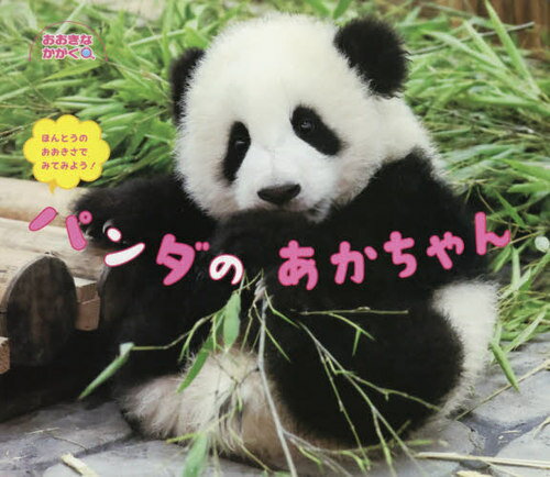 パンダのあかちゃん ほんとうのおおきさでみてみよう![本/雑誌] (おおきなかがく) / ひさかたチャイルドのサムネイル