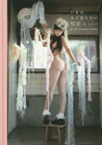 いまは、まだ見えない彗星[本/雑誌] (TH ART SERIES) / 珠かな子/著