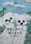 空をしかくく切りとって 帆草とうか詩集[本/雑誌] (ジュニアポエム双書) / 帆草とうか/詩・絵