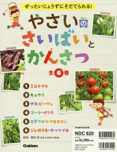 やさいのさいばいとかんさつ ぜったいじょうずにそだてられる! 6巻セット[本/雑誌] / 藤田智/監修