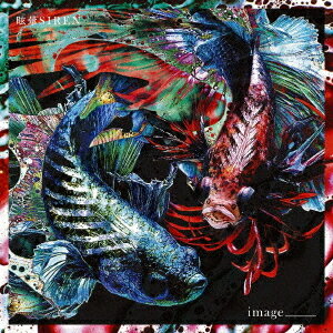 image_____[CD] / 眩暈SIREN