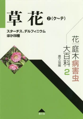 ֡³ɴ 2[/] / ¼ʸ/