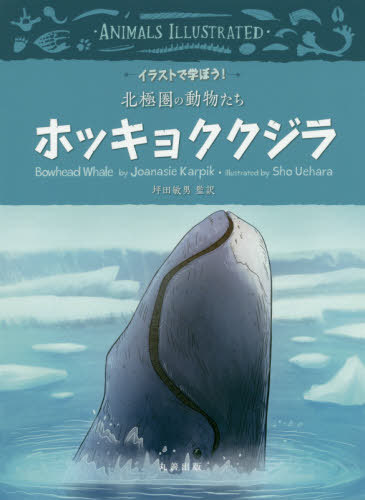 ホッキョククジラ / 原タイトル:ANIMALS ILLUSTRATED:Bowhead Whale[本/雑誌] (イラストで学ぼう!北極圏の動物たち) / JoanasieKarpik/〔著〕 ShoUehara/〔画〕 坪田敏男/監訳