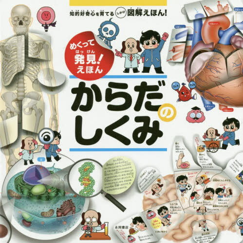 めくって発見!えほん からだのしくみ[本/雑誌] (知的好奇心を育てるしかけ図解えほん!) / 坂井建雄/監修 松島浩一郎/他著