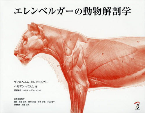 エレンベルガーの動物解剖学 / 原タイトル:Handbuch der Anatomie der Tiere fur Kunstlerの抄訳[本/雑誌] / ヴィルヘルム・エレンベルガー/著 ヘルマン・バウム/著 ヘルマン・ディットリッヒ/図版制作 加藤公太/訳 姉帯飛高/訳 姉帯沙織/訳 小山晋平/訳