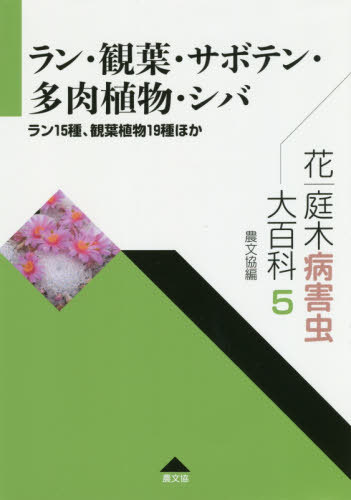 ֡³ɴ 5[/] / ¼ʸ/