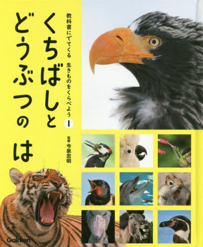 教科書にでてくる生きものをくらべよう 1[本/雑誌] / 今泉忠明/監修