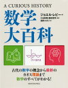 数学大百科 A CURIOUS HISTORY / 原タイトル:A CURIOUS HISTORY OF MATHEMATICS / ジョエル・レビー/著 三谷政昭/監訳 飯田頌平/監訳 浅野ユカリ/訳