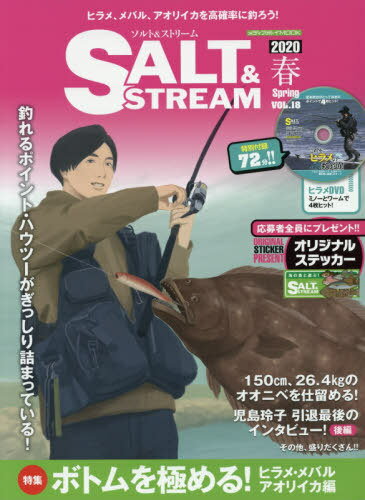 SALT&STREAM 18 (メディアボーイムック) / メディアボーイ