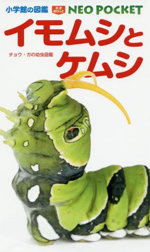 楽天市場】幼虫図鑑(本・雑誌・コミック)の通販 楽天市場】幼虫図鑑(本・雑誌・コミック)の通販