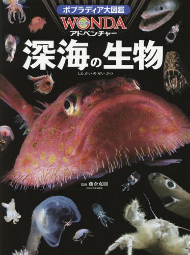 深海の生物[本/雑誌] (ポプラディア大図鑑WONDAアドベンチャー) / 藤倉克則/監修