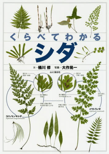 くらべてわかるシダ 識別ポイントで見分ける[本/雑誌] / 