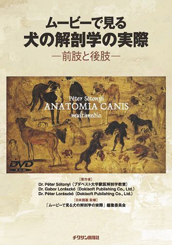 楽天ネオウィング 楽天市場店DVD ムービーで見る犬の解剖学の実際[本/雑誌] （単行本・ムック） / チクサン出版社