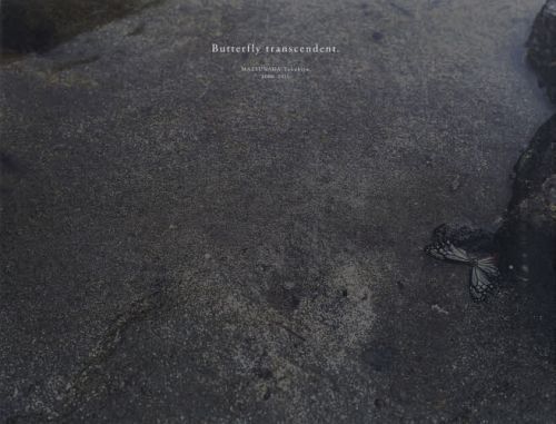 Ϥĳ Butterfly tran[/] (ñܡå) / ʹⴲ