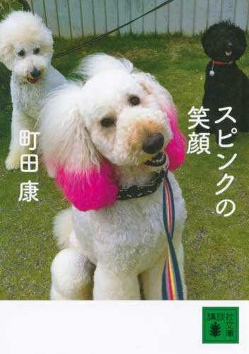 スピンクの笑顔[本/雑誌] (講談社文庫) / 町田康/〔著〕
