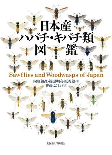 日本産ハバチ・キバチ類図鑑 / 内藤親彦/著 篠原明彦/著 原秀穂/著 伊藤ふくお/写真