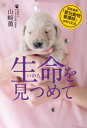 [書籍のメール便同梱は2冊まで]/生命(いのち)を見つめて 国家資格「愛玩動物看護師」法制化記念[本/雑誌] / 山崎薫/著