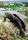 はっけん ニホンイシガメ 本/雑誌 (日本のいきものビジュアルガイド) / 関慎太郎/写真 AZRelief/編著 野田英樹/編著