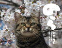 岩合光昭 猫カレンダー のら[本/雑誌] 2021 / 岩合光昭/写真