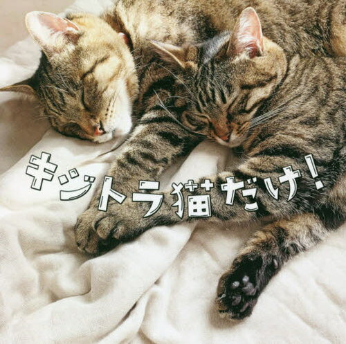 キジトラ猫だけ![本/雑誌] (TOKYO NEWS BOOKS) / 「キジトラ猫だけ!」編集チーム/著