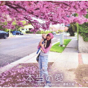 本当の愛[CD] Type-B (Pink) / 飯島真理
