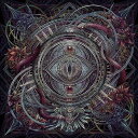 The Wasteland CD 初回生産限定盤 / NOCTURNAL BLOODLUST