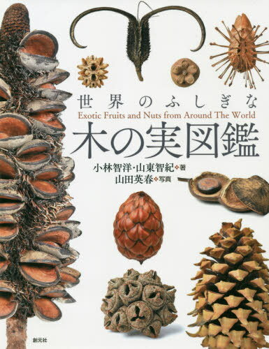 世界のふしぎな木の実図鑑[本/雑誌] / 小林智洋/著 山東智紀/著 山田英春/写真のサムネイル