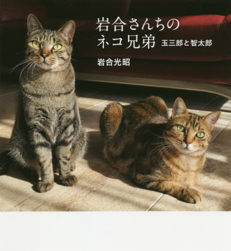岩合さんちのネコ兄弟 玉三郎と智太郎[本/雑誌] (IWAGO’S BOOK 7) / 岩合光昭/著