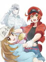 はたらく細胞 DVD 1 完全生産限定版 / アニメ