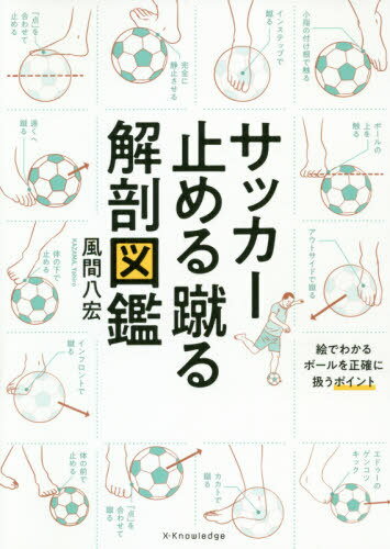 関連書籍 サッカー止める蹴る解剖図鑑[本/雑誌] / 風間八宏/著