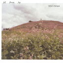 Hill Flower Fog[CD] / Emily A.Sprague