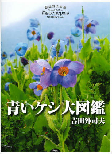 青いケシ大図鑑[本/雑誌] / 吉田外司夫/著