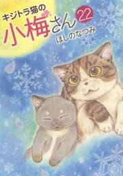 キジトラ猫の小梅さん[本/雑誌] 22 (ねこぱんちコミックス) (コミックス) / ほしのなつみ/著