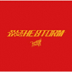 IN THE STORM[CD] [DVD付初回