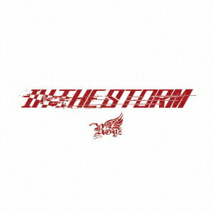 IN THE STORM[CD] [通常盤/Ct