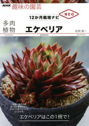 多肉植物エケベリア[本/雑誌] (NHK趣味の園芸) / 松岡修一/著のサムネイル