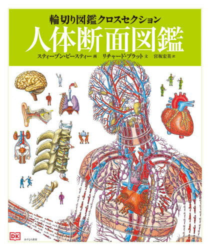 人体断面図鑑 / 原タイトル:Stephen Biesty’s Incredible Body Cross‐Sections (輪切り図鑑クロスセクション) / リチャード・プラット/文 スティーブン・ビースティー/画 宮坂宏美/訳