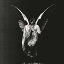 イレイズ・ミー[アナログ盤 (LP)] [リミテッド・エディション] [輸入盤] / アンダーオース