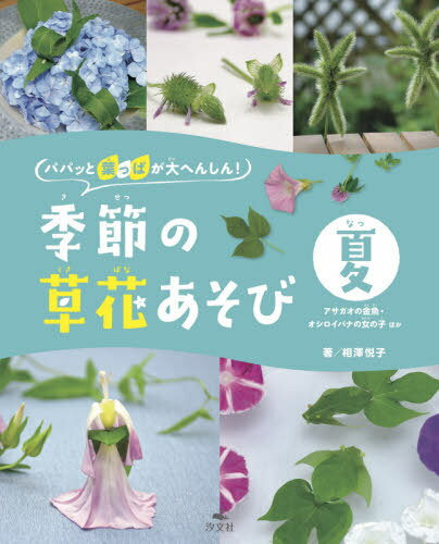 パパッと葉っぱが大へんしん!季節の草花あそび 夏[本/雑誌] / 相澤悦子/著のサムネイル