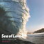 HONEY meets ISLAND CAFE -sea of Love 6- Collaboration with BAYFLOW[CD] / ˥Х
