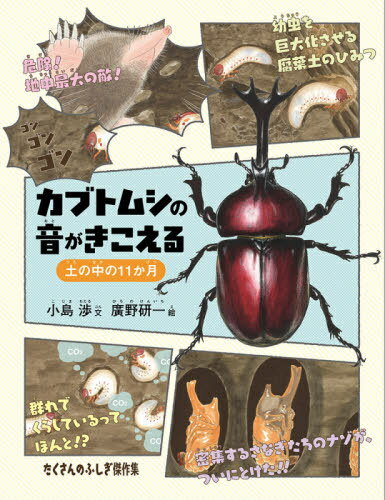 カブトムシの音がきこえる 土の中の11か月[本/雑誌] (たくさんのふしぎ傑作集) / 小島渉/文 廣野研一/絵のサムネイル