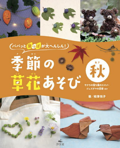 パパッと葉っぱが大へんしん!季節の草花あそび 秋[本/雑誌] / 相澤悦子/著のサムネイル