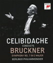 ご注文前に必ずご確認ください＜商品説明＞1992年3月31日、4月1日の2日間にわたり、ベルリンのシャウスピールハウスにて行なわれたライヴ・シューティング。38年ぶりにベルリン・フィルの指揮台に立ったチェリビダッケは、十八番のレパートリーであるブルックナーの交響曲第7番を取り上げ、圧倒的な名演奏となった。この歴史的公演は当時ドイツ大統領だったヴァイツゼッカー直々の計らいで実現したもので、会場のただならぬ緊張感の中、録音をほとんど行わなかったチェリビダッケがベルリン・フィルを指揮した唯一の映像としても知られる。ブルックナー没後125年を記念して、4:3のオリジナル画質のブルーレイ・ディスクとしてついにソニー・クラシカルから初発売。 ●日本独自企画盤＜アーティスト／キャスト＞ベルリン・フィルハーモニー管弦楽団(演奏者)　セルジュ・チェリビダッケ(演奏者)＜商品詳細＞商品番号：SIXC-48Sergiu Celibidache (conductor) / Berlin Philharmonic Orchestra / Celibidache Conducts Bruckner Sypmphony No.7 In E Major Berliner Philharmonikerメディア：Blu-rayリージョン：A発売日：2021/07/07JAN：4547366505955ブルックナー: 交響曲第7番 [1992年ベルリン・ライヴ][Blu-ray] / セルジュ・チェリビダッケ (指揮)/ベルリン・フィルハーモニー管弦楽団2021/07/07発売