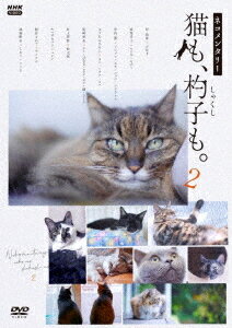 ネコメンタリー 猫も、杓子も。[DVD] 2 / ドキュメンタリー