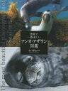 世界で一番美しいアシカ・アザラシ図鑑[本/雑誌] / 水口博也/編著