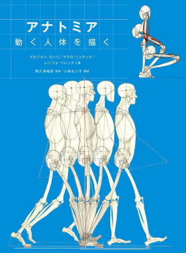 アナトミア動く人体を描く / 原タイトル:STRUTTURA UOMO IN MOVIMENTO 原著第2版の翻訳[本/雑誌] / ア..