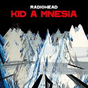 ご注文前に必ずご確認ください＜商品説明＞”音楽史における20世紀最後の名盤”とも評されるレディオヘッドの4作目『Kid A』と、同時期にレコーディングされ双子作品とも位置付けられる5作目『Amnesiac』が発売21周年を記念し、未発表/レア音源を追加したひとつの3枚組作品『Kid A Mnesia』としてリリース!! 2000年発売当時、ギター・ロックのフォーマットを捨て去りエイフェックス・ツインやオウテカなど先鋭的なエレクトロニック・ミュージックを取り入れた作風で物議を醸し出したレディオヘッドの革新的4作目『Kid A』。そして同じ時期にレコーディングされ、同作の双子作品にしてクラウト・ロック、ジャズ、ブルーグラスなど古典的な音楽とエレクトロニクスを混ぜ合わせ、円熟を見せる近年のバンド・サウンドの雛形になった2001年作品『Amnesiac』。今回発売から20年を経て、同レコーディング・セッションから発掘されたBサイドや別ヴァージョン、そしてコア・ファンの間でその存在が知られるも半ば都市伝説として語り継がれてきた門外不出の未発表曲「If You Say the Word」と初公式リリースとなる「Follow Me Around」を含む12曲を収録したボーナス・ディスク『Kid Amnesiae』が追加された3枚組作品『Kid A Mnesia』としてその偉大なる歴史を更新。”エヴリシング・イン・イッツ・ライト・プレイス”—2000年代の音楽史に革命を起こしながらも二つの軌道を辿った作品が、20年の時を経て今一つになる。なお、2021年11月5日(金)に〈XL Recordings〉より世界同時発売となる本作の日本盤3CDは高音質UHQCD仕様となっており、歌詞対訳・解説が封入され、5曲のボーナス・トラックを追加収録。＜アーティスト／キャスト＞レディオヘッド(演奏者)＜商品詳細＞商品番号：XL-1166CDJPRadiohead / Kid A Mnesia [UHQCD]メディア：CD発売日：2021/11/05JAN：4580211855409キッドAムニージア[CD] [UHQCD] / レディオヘッド2021/11/05発売