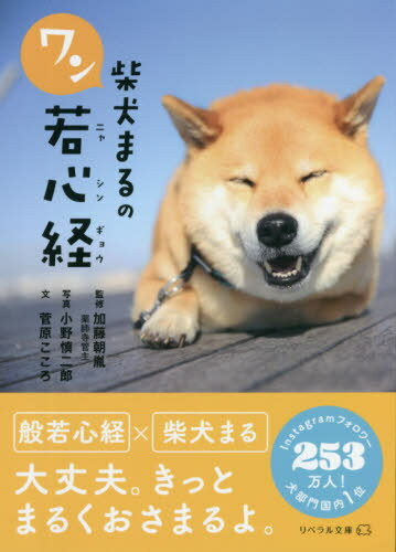 柴犬まるのワン若心経[本/雑誌] (リベラル文庫) / 菅原こころ/文 加藤朝胤/監修 小野慎二郎/写真