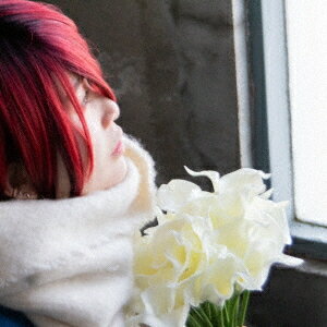 汽車を待つ君と白い花[CD] / H△G