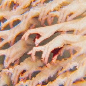 ミメーシス[CD] [通常盤] / 日食なつこ